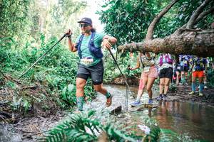 BIB: 
                            <button type="button" onclick="openModal(25516343)" class="btn btn-primary btn-sm float-right btn-popup" data-toggle="modal" data-target=".modal-high-quality">
                        <i class="fas fa-shopping-cart"></i> Add to Cart
                    </button>
                                            <button type="button" onclick="isThisMe(25516343, true)" class="btn btn-success btn-sm float-right btn-popup btn-isme hidden" data-toggle="tooltip" data-placement="bottom" title="นี่คือรูปของคุณใช่ไหม คลิกที่นี่เพื่อเอาเข้าอัลบั้ม">
                        <i class="fas fa-plus"></i> Add to album
                    </button>
                    <button type="button" onclick="isThisMe(25516343, false)" class="btn btn-warning btn-sm float-right btn-popup btn-isnotme hidden">
                        <i class="fas fa-ban"></i> Remove from album
                    </button>